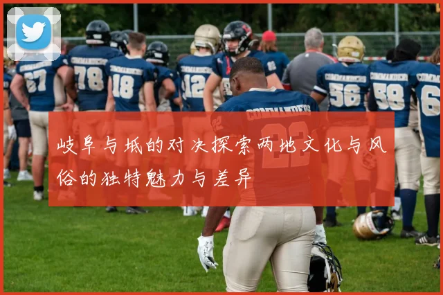 岐阜与坻的对决探索两地文化与风俗的独特魅力与差异