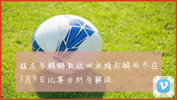 猛龙与鹈鹕激战回放精彩瞬间尽在3月9日比赛分析与解读