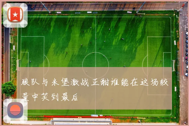 狼队与米堡激战正酣谁能在这场较量中笑到最后
