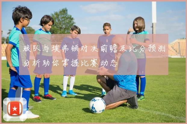 狼队与埃弗顿对决前瞻及比分预测分析助你掌握比赛动态